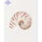 Coastal Wall Art Sea Shell Prints Starfish Canvas Art Beach Themed Decor Set 7