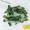 Artificial Ivy Vines Hanging Green Garland For Natural Wall Decor And Home Styling 1