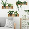 Plant Wall Stickers Potted Botanical Wall Decal Set For Fresh Home Decor Styling 7