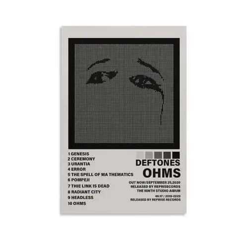 Deftones Album Poster Around The Fur Rock Band Wall Art for Aesthetic Room Decor