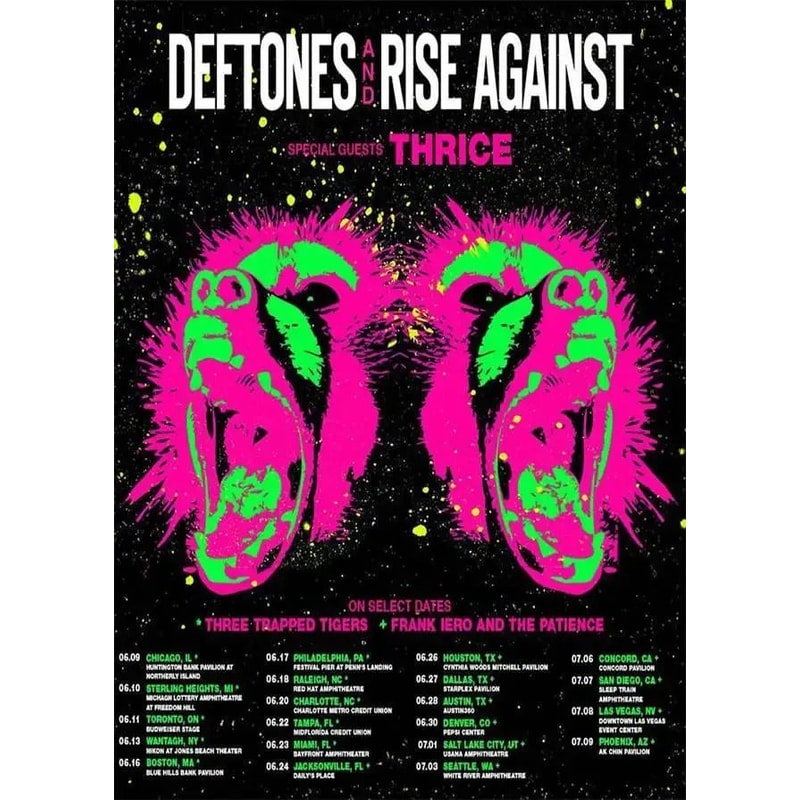 Deftones Album Poster Around The Fur Rock Band Wall Art For Aesthetic Room Decor 3
