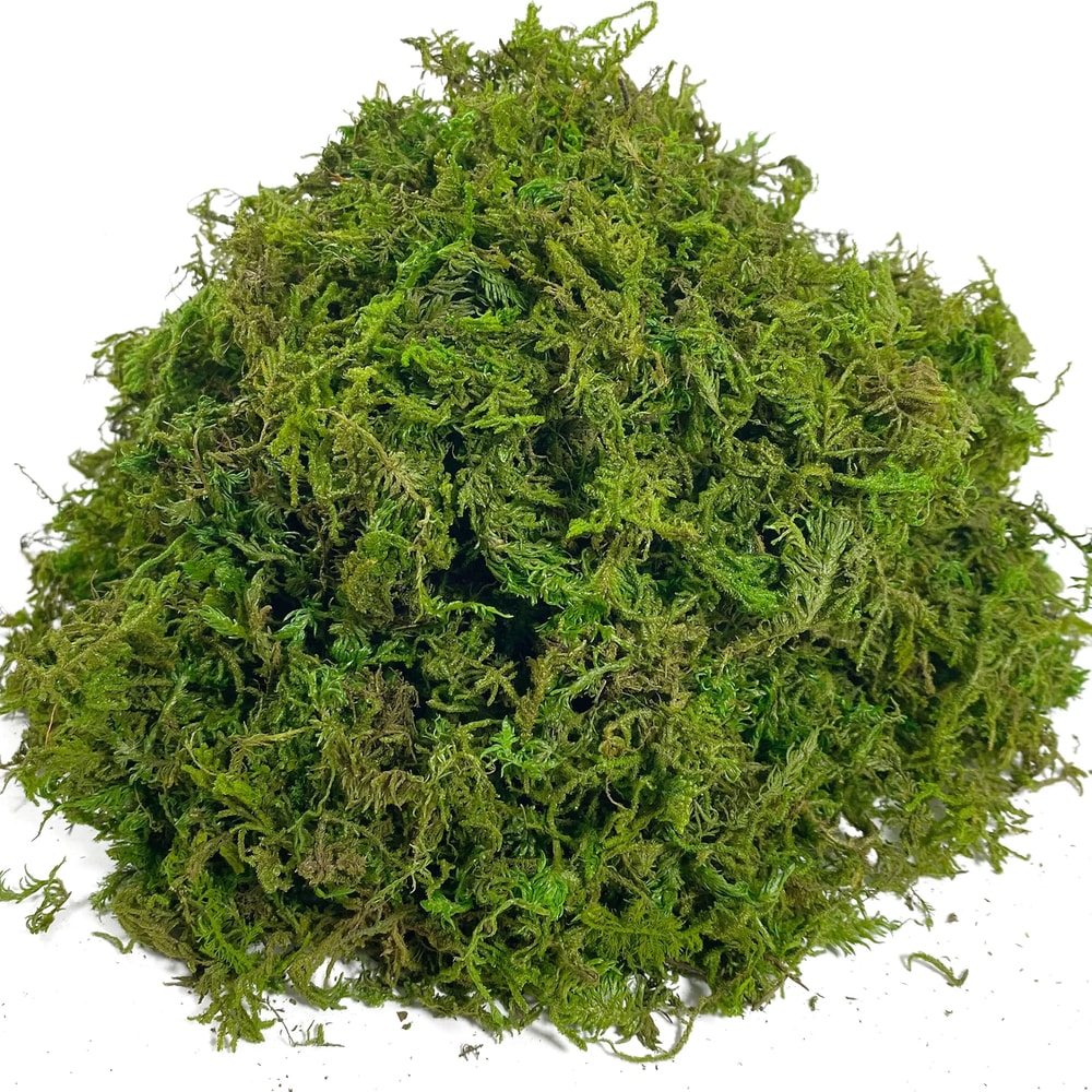 Artificial Moss Decor Natural Look Craft Moss For Plant And Centerpiece Styling 2