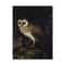 Vintage Owl Canvas Wall Art Dark Academia Cottagecore Nature Print Decor 19