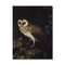 Vintage Owl Canvas Wall Art Dark Academia Cottagecore Nature Print Decor 19