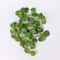 LED Ivy Garland Artificial Vine String Lights Green Leaf Hanging Decor 1