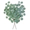 Artificial Eucalyptus Vine Garland Greenery Decor For Home And Events 0