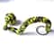 Paracord Monkey Fist Keychain Outdoor Safety Accessory With Steel Core 4