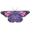 Kids Butterfly Wings Cape Fairy Costume Pixie Cloak For Girls 4