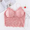 Lace Crop Top Sleeveless Sexy Bralette Summer Tank With Zipper Back 6