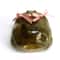 Cute Frog AirPods Case Funny Cartoon Protective Cover With Pink Bow 10