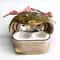 Cute Frog AirPods Case Funny Cartoon Protective Cover With Pink Bow 8