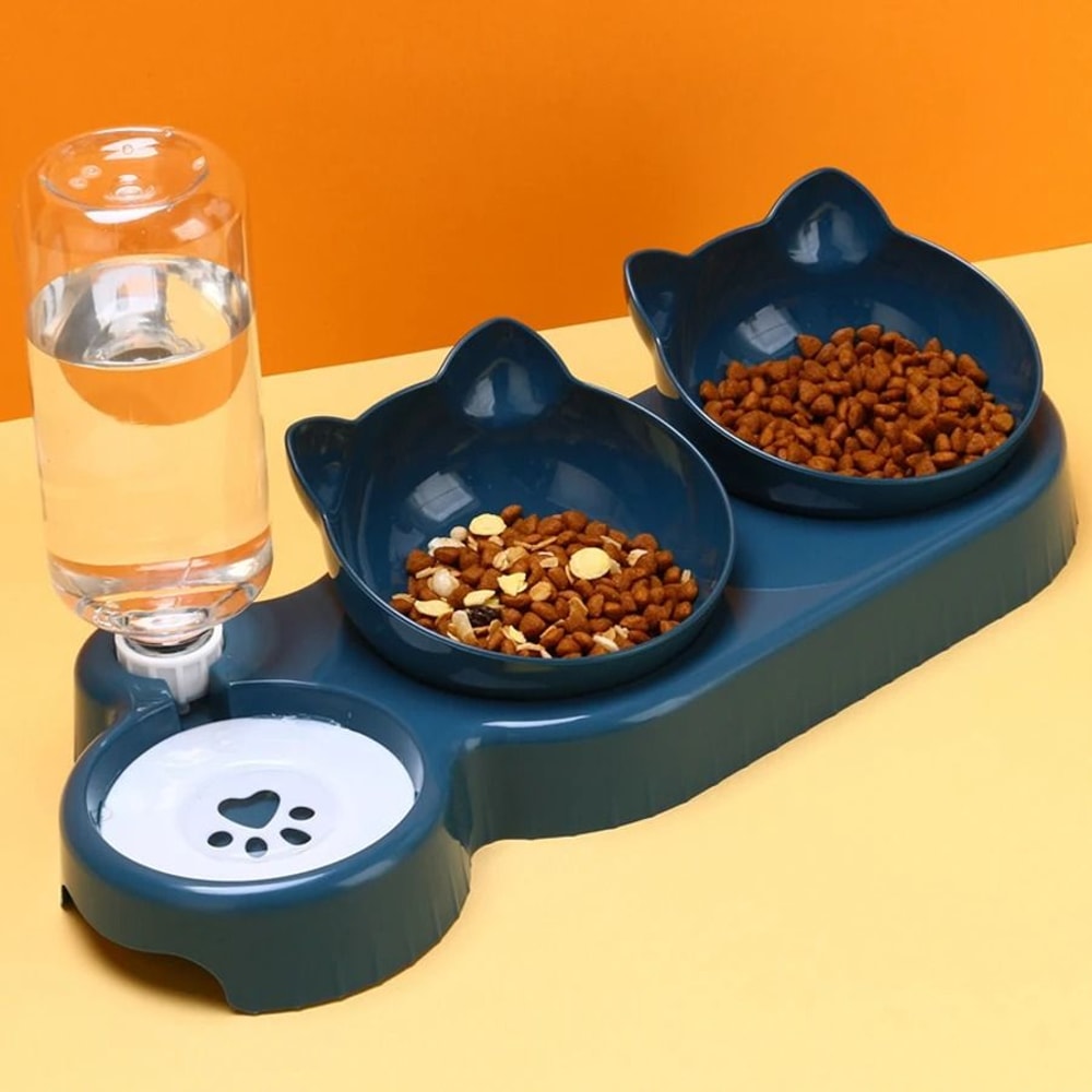 2 In 1 Cat Feeding Bowl Set With Automatic Water Dispenser And Tilted Design 2