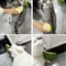 Self Grooming Cat Scratcher Brush Wall Mounted Pet Hair Remover And Massager 11