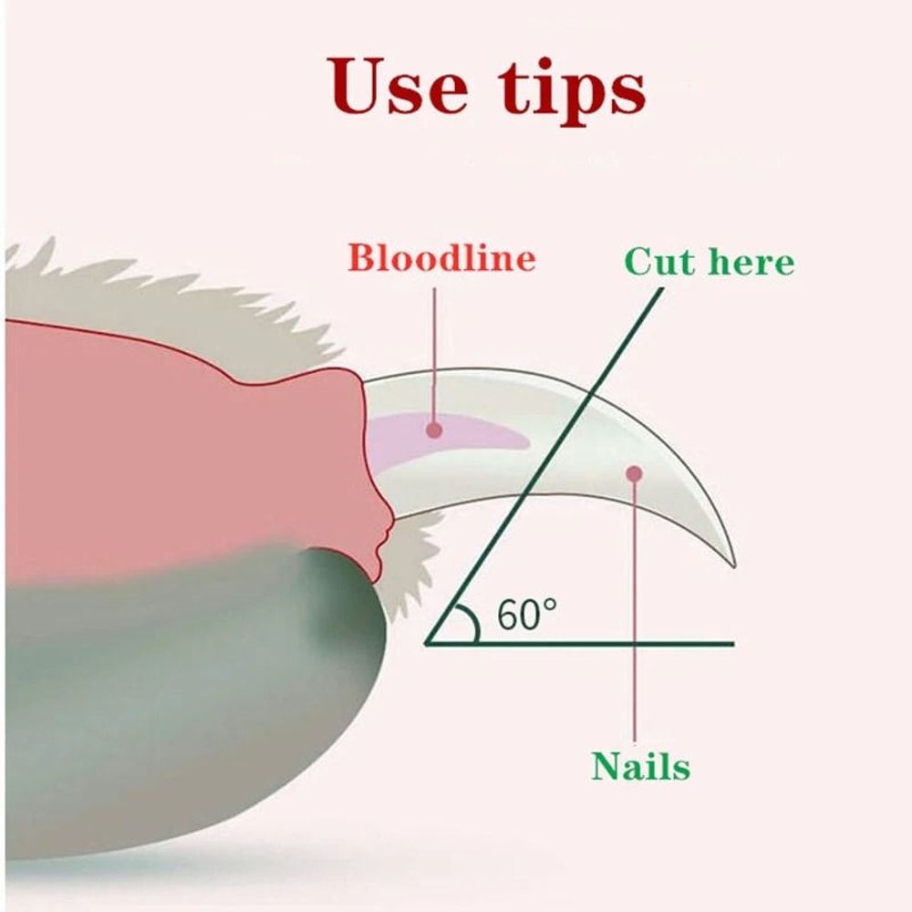 LED Pet Nail Clipper Professional Cat And Dog Nail Trimmer With Safety Light 5