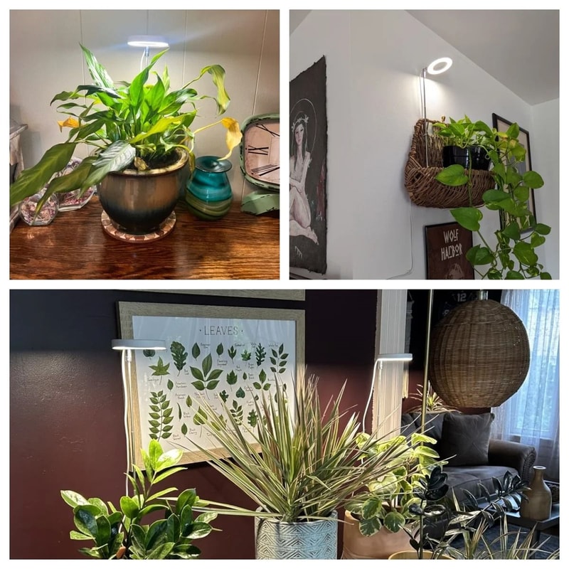 Full Spectrum Indoor Plant Grow Light Adjustable LED Plant Growth Lamp 3