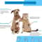Dog Hair Remover Brush Pet Grooming Comb For Cats And Dogs Deshedding Tool 7