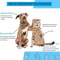Dog Hair Remover Brush Pet Grooming Comb For Cats And Dogs Deshedding Tool 7