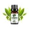 Fruit Scented Essential Oil For Diffuser Candle Soap Making 0