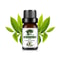 Fruit Scented Essential Oil For Diffuser Candle Soap Making 0