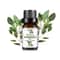 Fruit Scented Essential Oil For Diffuser Candle Soap Making 1