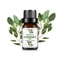 Fruit Scented Essential Oil For Diffuser Candle Soap Making 1