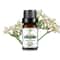 Fruit Scented Essential Oil For Diffuser Candle Soap Making 11