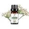 Fruit Scented Essential Oil For Diffuser Candle Soap Making 11
