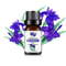 Fruit Scented Essential Oil For Diffuser Candle Soap Making 13