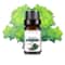 Fruit Scented Essential Oil For Diffuser Candle Soap Making 14