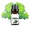 Fruit Scented Essential Oil For Diffuser Candle Soap Making 14