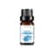 Fruit Scented Essential Oil For Diffuser Candle Soap Making 15
