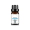 Fruit Scented Essential Oil For Diffuser Candle Soap Making 20