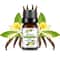 Fruit Scented Essential Oil For Diffuser Candle Soap Making 22