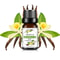 Fruit Scented Essential Oil For Diffuser Candle Soap Making 22