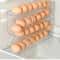 Automatic Egg Roller Rack Multi Layer Refrigerator Egg Organizer 10