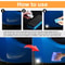 Car Scratch Remover Polishing Paste Paint Repair Compound With Sponge For Smooth Finish 6