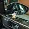 Cute Flower Pot Elf Car Dashboard Ornament Resin Interior Decoration 6