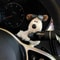Cute Dog Car Wiper Decoration Dashboard Ornament Accessory 0