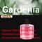 Smart Rechargeable Car Air Freshener Aromatherapy Diffuser 1