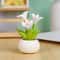 Mini Flower Pot Elf Car Ornament Cartoon Bonsai Decor 5