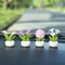 Mini Flower Pot Elf Car Ornament Cartoon Bonsai Decor 0