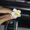 Peach Blossom Car Vent Perfume Clip Air Freshener Set 9