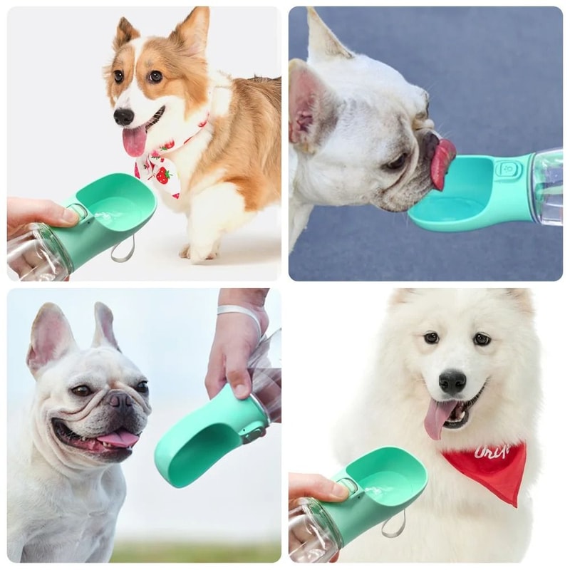 HydroPaw Portable Dog Water Bottle For Travel And Outdoor Walks 9