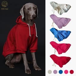 cozypaws solid color dog hoodie with pocket and adjustable collar