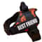 ComfortFit Adjustable Nylon Dog Harness With Custom Name ID 0