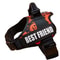 ComfortFit Adjustable Nylon Dog Harness With Custom Name ID 0