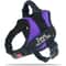 ComfortFit Adjustable Nylon Dog Harness With Custom Name ID 11
