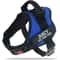 ComfortFit Adjustable Nylon Dog Harness With Custom Name ID 12