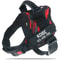 ComfortFit Adjustable Nylon Dog Harness With Custom Name ID 15