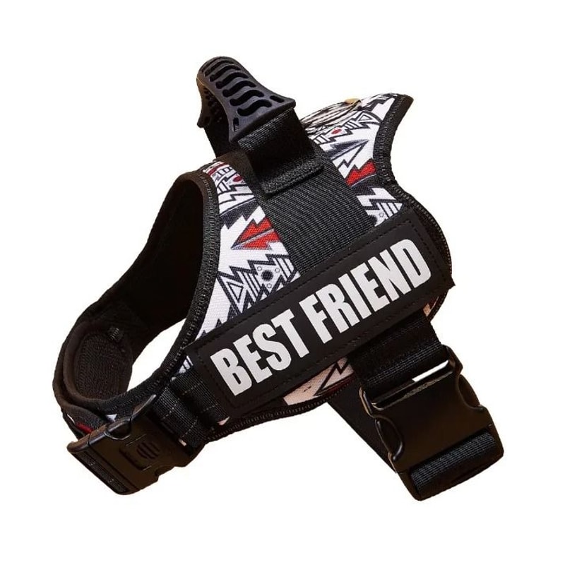 ComfortFit Adjustable Nylon Dog Harness With Custom Name ID 1